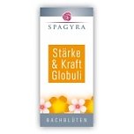 Spag.Glo Bach Stark+kraft